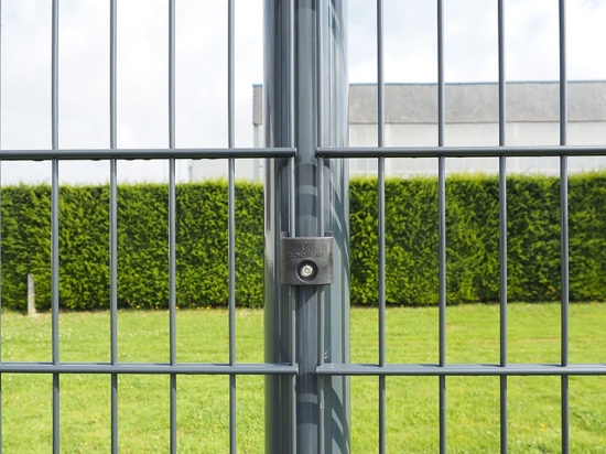 FIXATION  "CLOMO FIX"